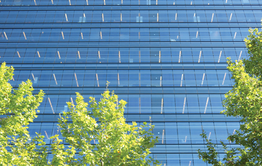 Protection & film solaire pour bâtiment professionnel